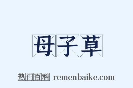 母子草是什么意思的图片
